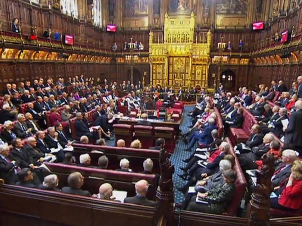 House of Lords defeats government plans to scrap EU rights charter after Brexit