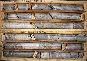 Hole #7 (20AU07), 485.65m to 489.85m, quartz and sulphide veins cross-cutting the paragneiss host rock.