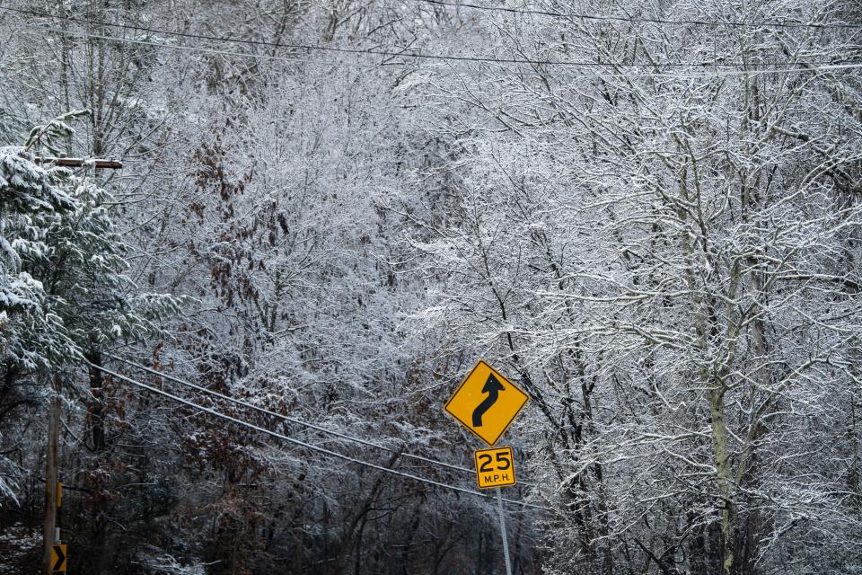 Snow covers the trees along Choto Rd. in West Knox County on Monday, January 3, 2022. 