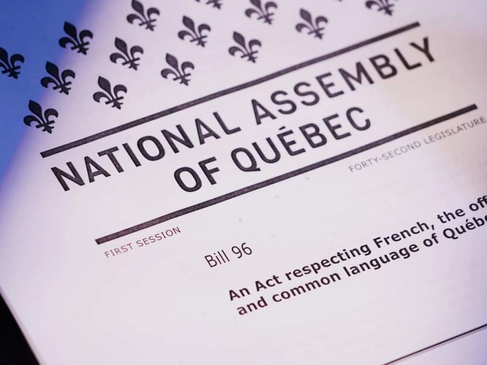 Bill 96 seeks to bolster the French language in Quebec by increasing its use in shops and workplaces.                                (Sylvain Roy Roussel/CBC - image credit)