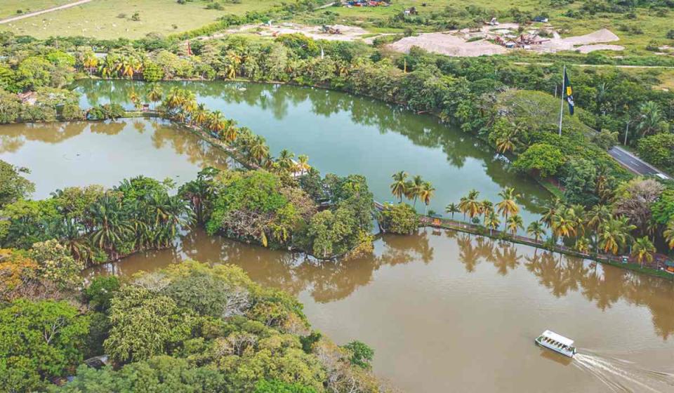 La recuperación del bosque seco tropical en el Parque Acuático y de Conservación Piscilago, en Girardot, ha sido una de sus apuestas. Fotos: Cortesía