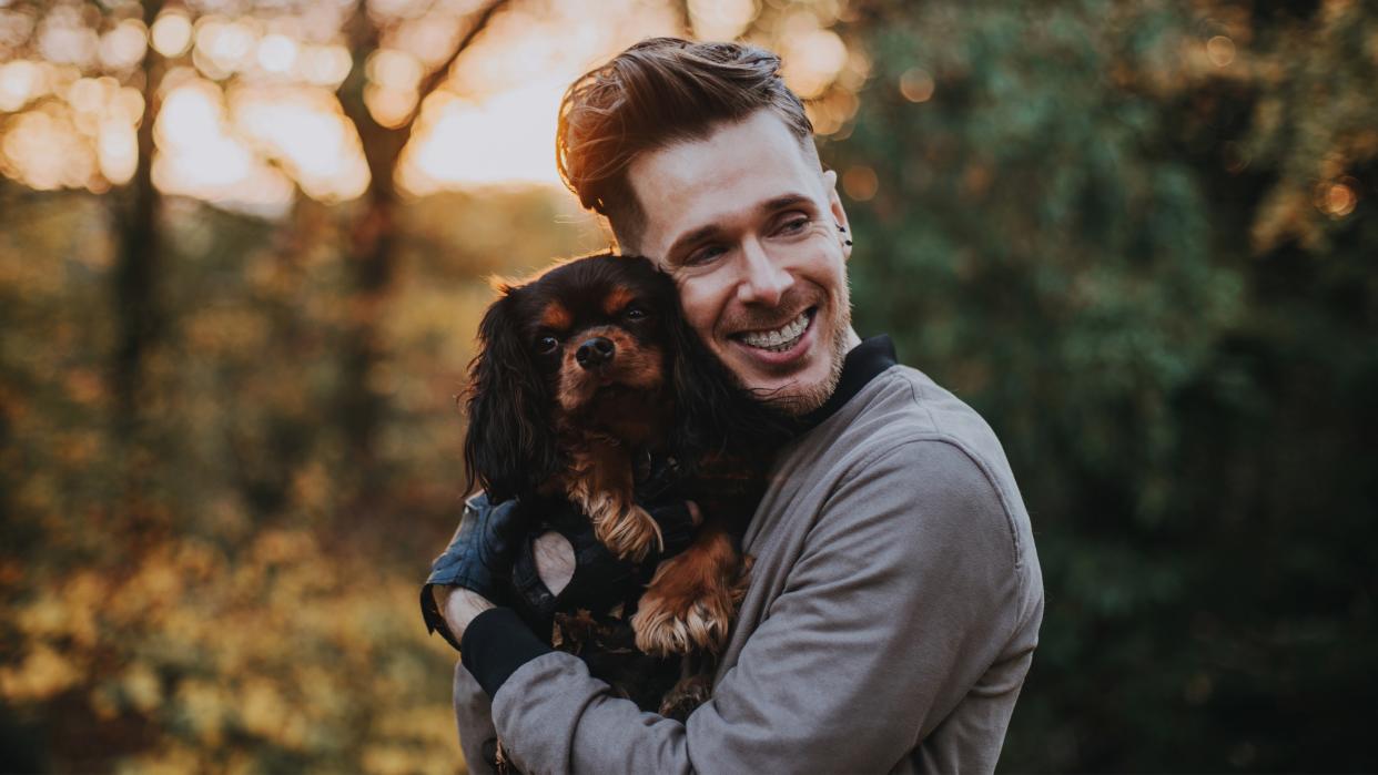  Cavalier King Charles spaniel being cuddled by man outside. 