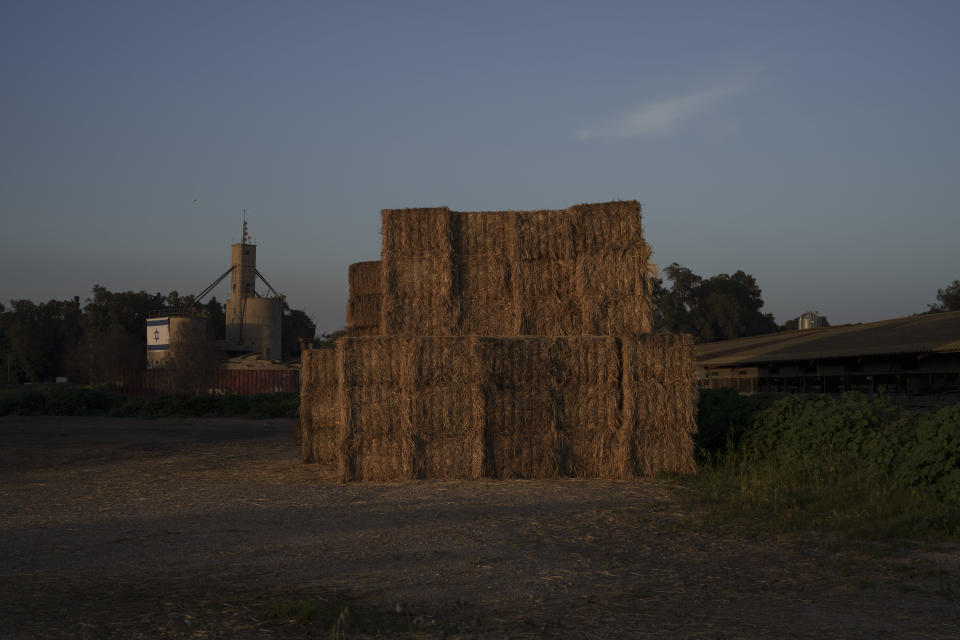 Bales of hay are stacked in Kibbutz Nahal Oz, Israel, Wednesday, Feb. 28, 2024. (AP Photo/Leo Correa)