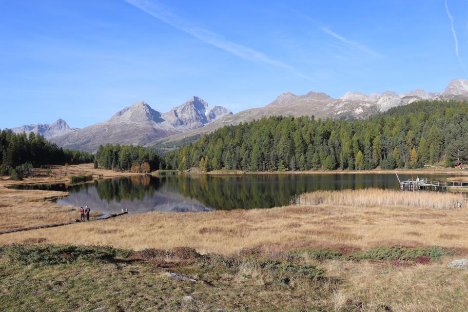 small pond in yellow grass field in front of pine tree forest with rocky mountain peaks in the background