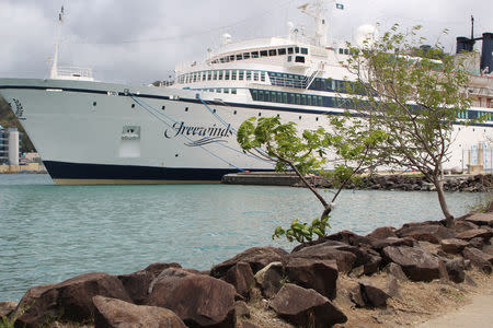 A 440-foot ship owned and operated by the Church of Scientology, SMV Freewinds, is docked under quarantine from a measles outbreak in port near Castries, St. Lucia, May 2, 2019. REUTERS/Micah George