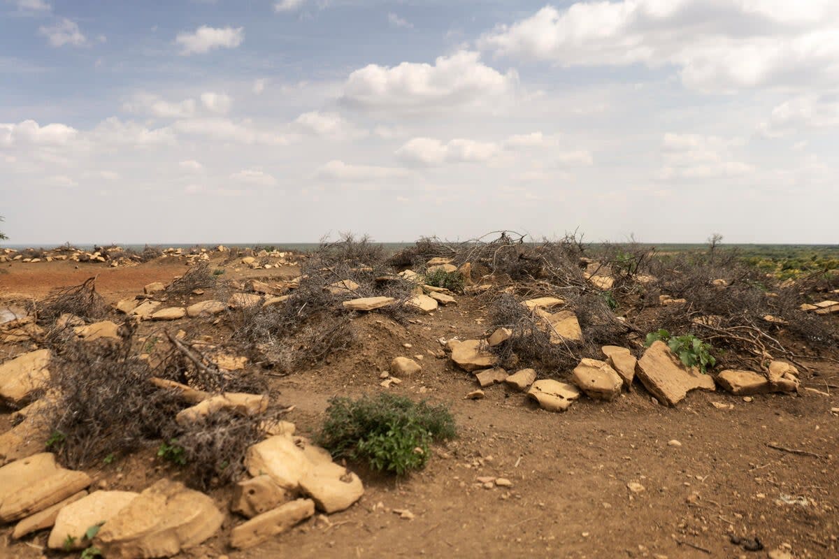 A graveyard in Baidoa, with estimations one person is likely to die every 28 seconds as a result of malnutrition in Ethiopia, Somalia, Kenya and South Sudan (Fredrik Lerneryd/Save the Children)