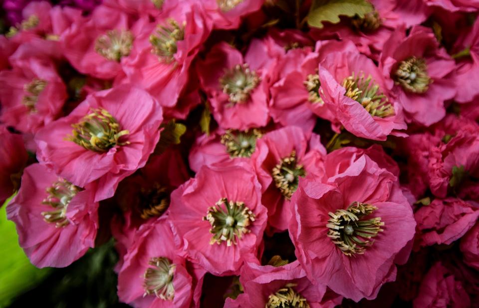 Hand-crafted paper flowers designed by local artist Liz Carter of Holt, seen Thursday, Nov. 11, 2021, at her workspace for Unwilted in Holt.  The flowers are made from Italian crepe paper created from Carter's original designs.