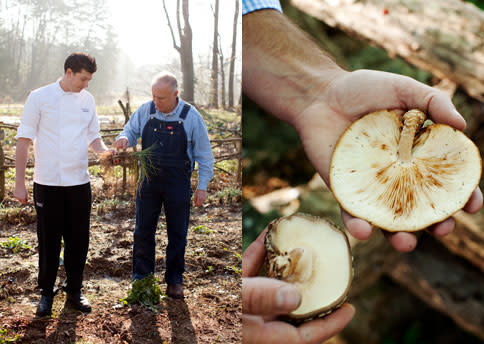 Blackberry Farm Day in the Life Program: Winter Truffle Foraging and Cooking, $2600