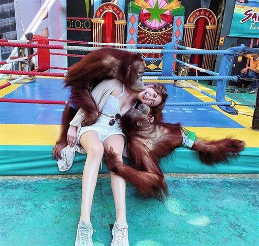 女子與紅毛猩猩拍照，慘遭襲胸引起網友瘋傳。（圖／翻攝自IG）