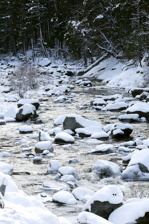 Water flows past snow-covered rocks in the South Fork American River along Hwy 50 west of Kyburz, California December 30, 2015. REUTERS/Fred Greaves