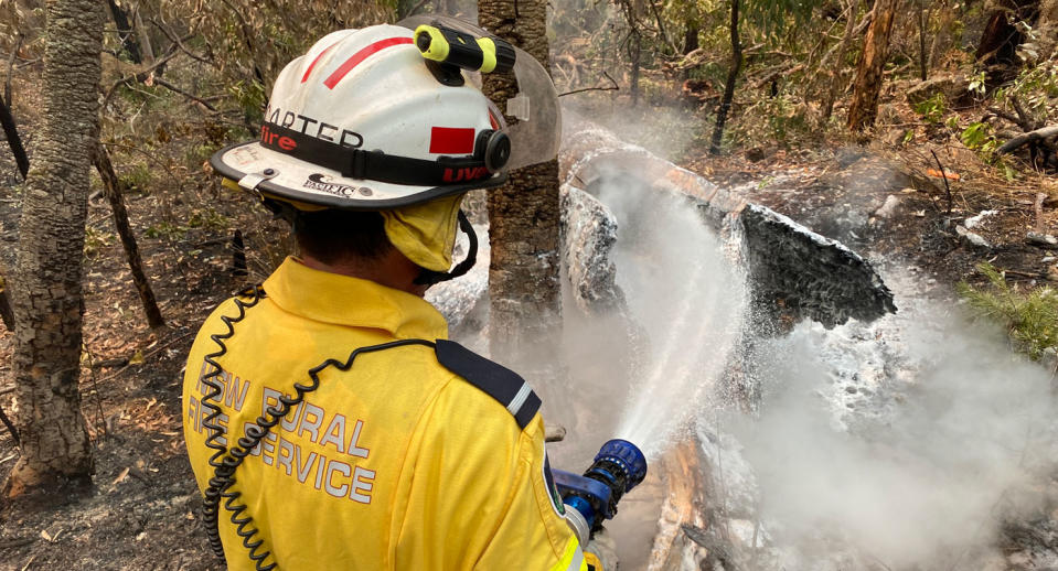 NSW Rural Fire Services volunteer Darren Carter uses a hose on part of a forest.