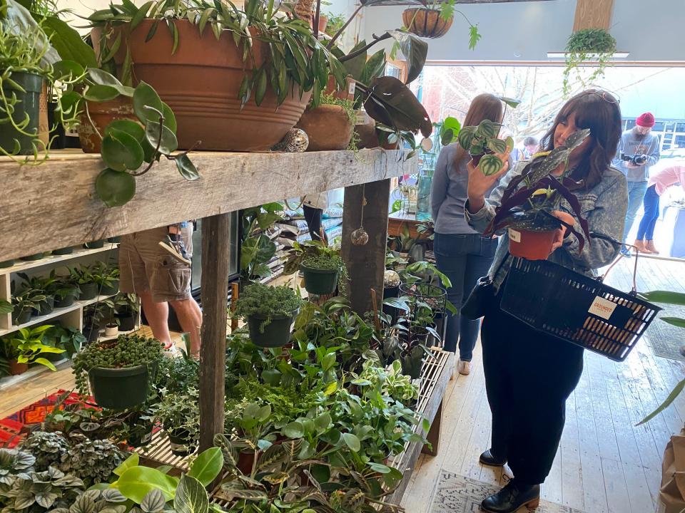 A customer peruses the shelves of plants at the grand opening of Grounded Plant Co.'s new location on East Lafayette Street, one of the many small businesses to move downtown in recent years.