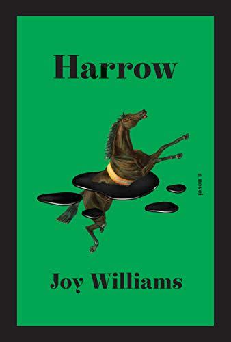6) <em>Harrow</em>, by Joy Williams