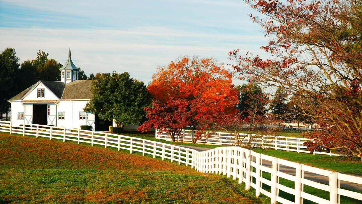 Lexington, KY, USA October 29, 2009 A white post fence leads to a barn on a thoroughbred breeding farm in Blue Grass Country, outside of Lexington, Kentucky.