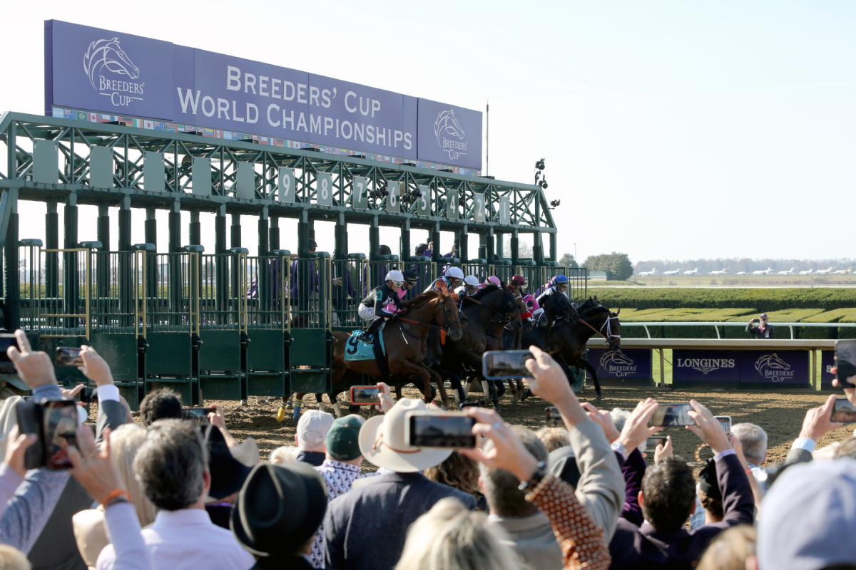 How to Watch the Breeders’ Cup Online Live Stream Horse Racing Without