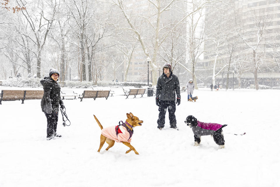 Connor Hornibrook, center right, and his dog Ellie enjoy the fresh snow along with Annette Fierro, of and her dog Twyla at Rittenhouse Square in Philadelphia, Friday, Jan. 19, 2024. (Tyger Williams/The Philadelphia Inquirer via AP)
