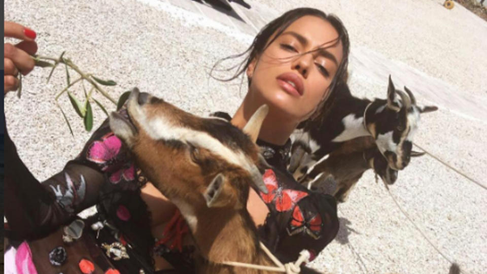 Irina Shayk durfte in Italien mit einer Ziege shooten