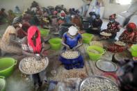 Local women process baobab fruit pulp into powder at a workshop that belongs to Baye fall community, in Ndem