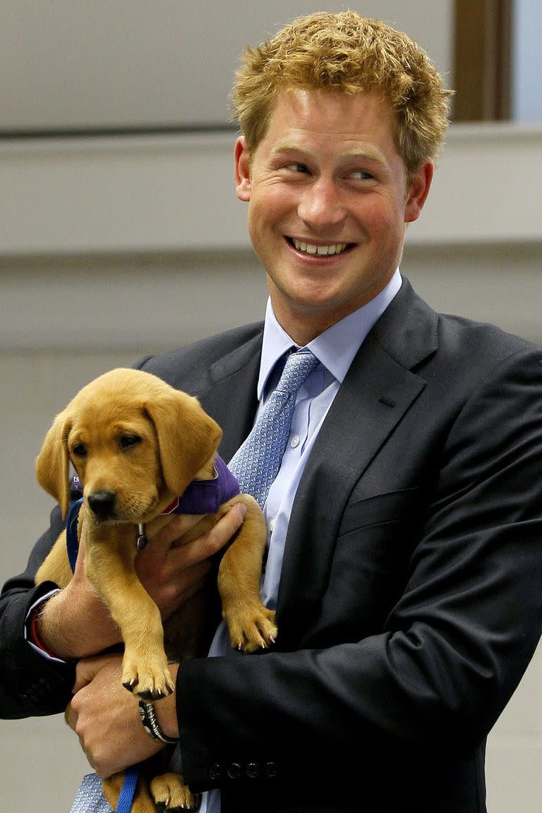 <p>The prince holds a puppy at the Canine Partners Training Centre—making hearts melt everywhere. </p>