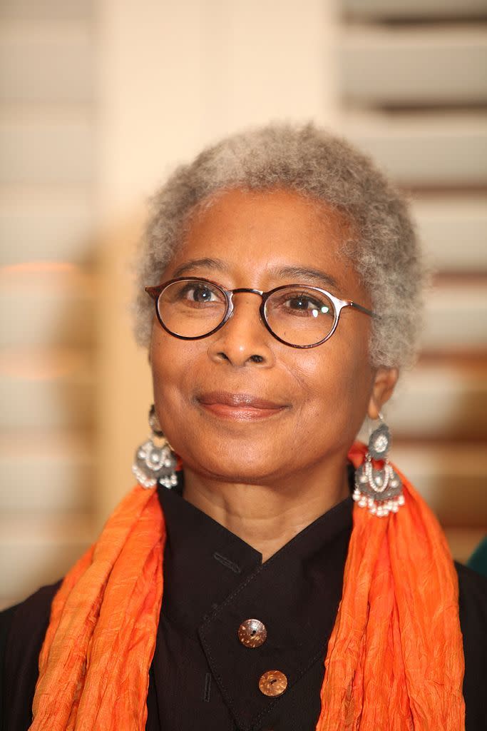 gray hair color ideas alice walker