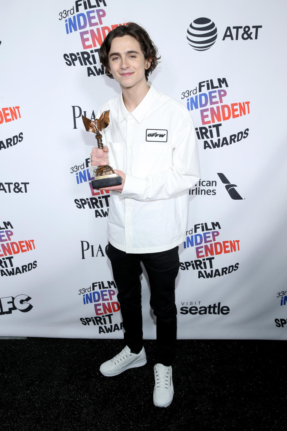 Timothee Chalamet, red carpet, film premiere, award show, shoes, sneakers, boots