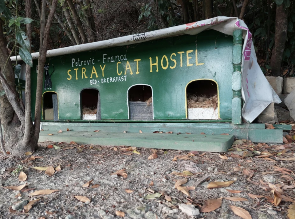 Small green wooden shelter labeled "Stray Cat Hostel" with multiple compartments for cats