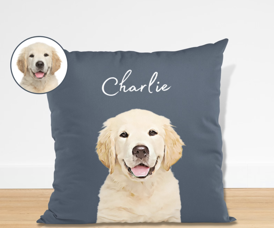 Going away gift ideas - pet pillow