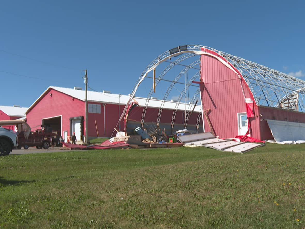 Alex Docherty of Sky View Farms in Elmwood, P.E.I., says a tarp barn at his farm was completely destroyed and another was severely damaged. (Laura Meader/CBC - image credit)