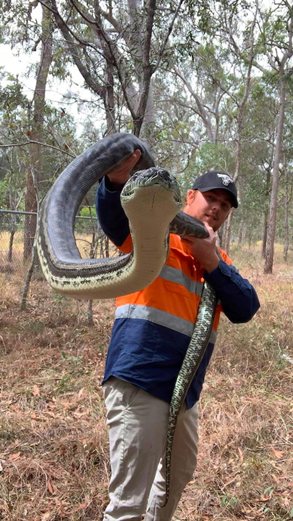 Bryce said, “Every now and again we have strange shapes and patterns turn up on the snakes we relocate. But this one here is a first for me. I have never seen so many clear numbers and letters in a row." Photo: Bryce Lockett/Caters News