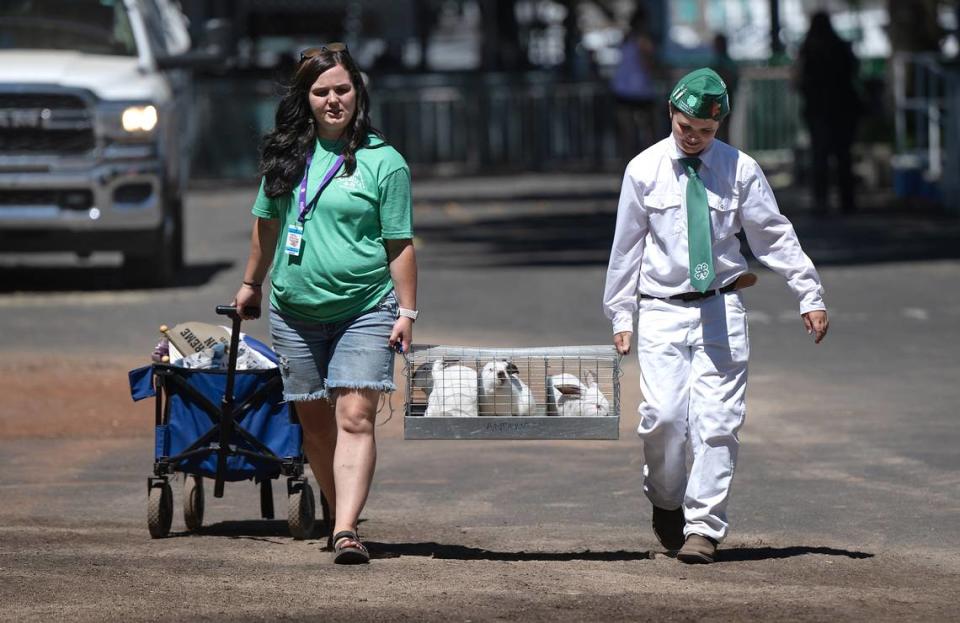 Amanda Vanderveen y su hijo, Logan, de 13 años, llevan tres conejos de California después de ser jueces durante la Feria del Condado de Stanislaus, en Turlock, California, el viernes 5 de julio de 2024. Logan, miembro de Sierra 4-H de Oakdale, fue galardonado con la Reserva de Campeón Supremo por sus conejos de corral para consumo humano.