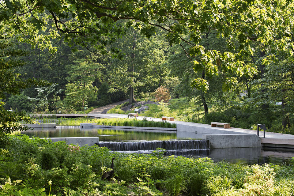 This photo provided by the New York Botanical Garden shows the Native Plant Garden at the NYBG in New York. Sustainability and resilience were important considerations for landscape architect Sheila Brady's design of the garden. Storm water captured on site feeds the central water feature. Black locust, considered invasive in parts of the US, was used to construct the wooden promenade. The regionally native plants provide invaluable food and shelter for native birds and butterflies at risk from climate change and other anthropogenic stresses. (Robert Benson/NYBG via AP)