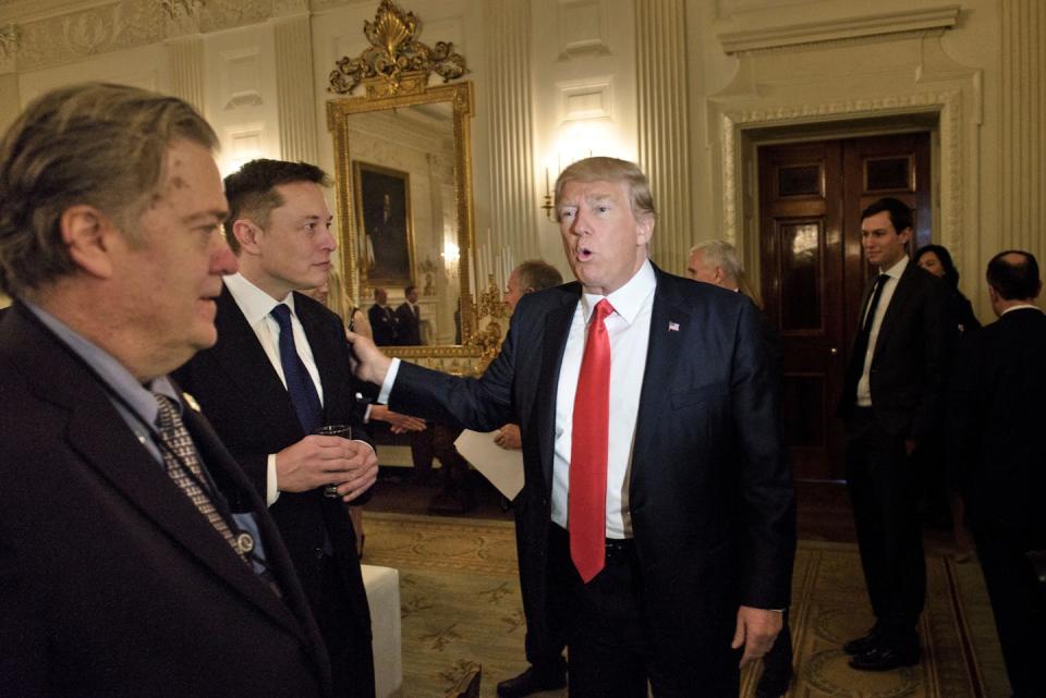 Donald Trump pats Elon Musk on the arm at the White House.