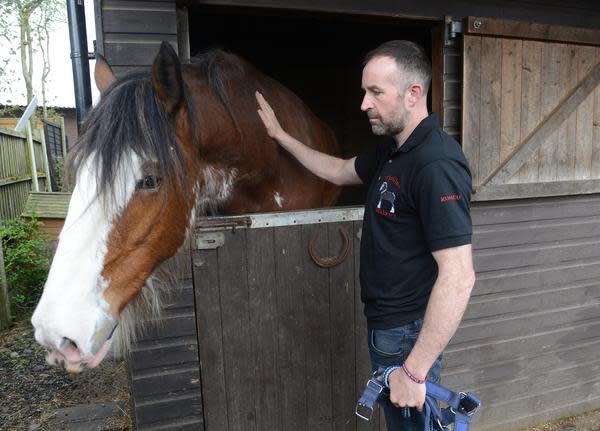 Farmer Stephen Nolan has received constant noise complaints (SWNS)