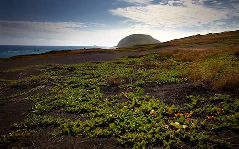 Iwo Jima - Credit: iStock