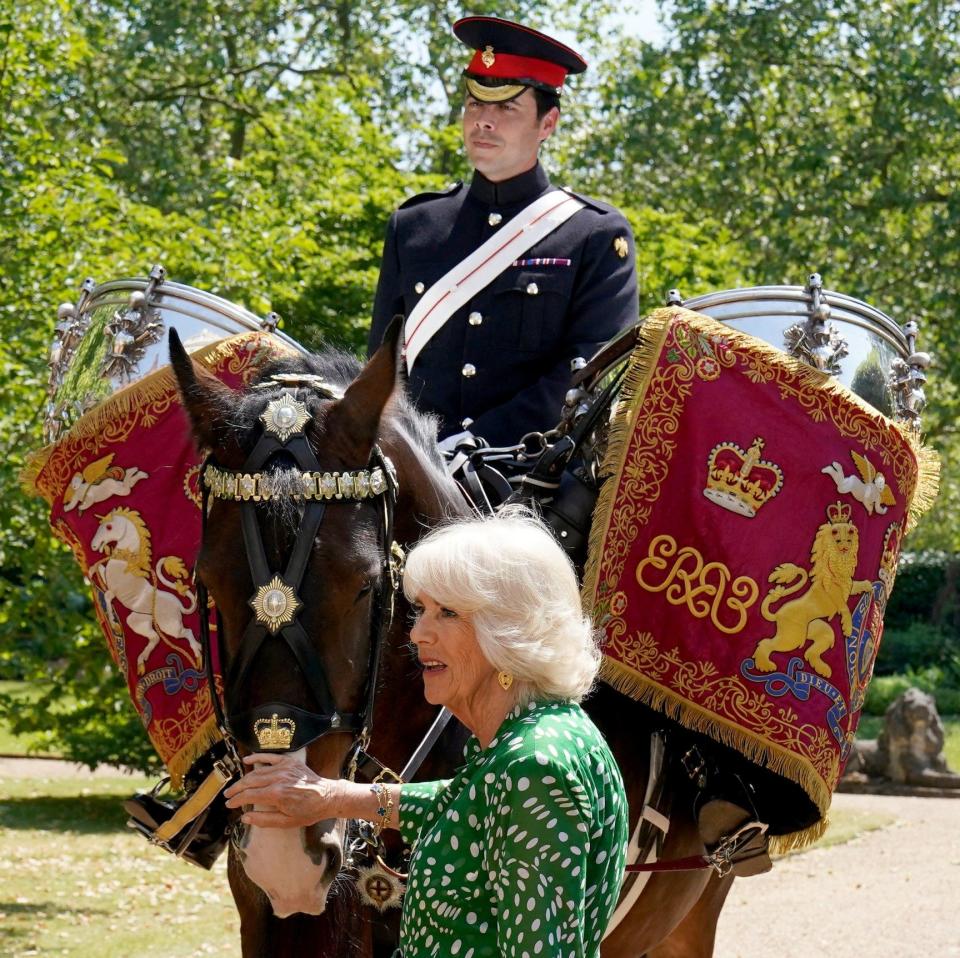 Juno, who was formally named by Queen Camilla, will gain the rank of Major once she has led Saturday's parade