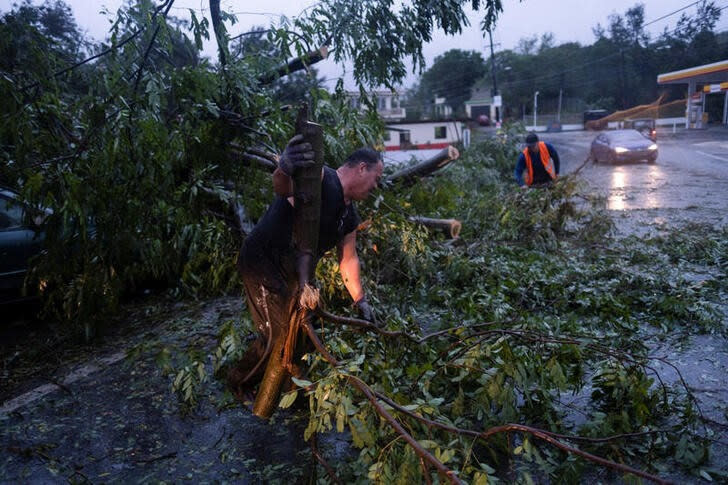 Foto del domingo de un grupo de personas quitando los restos de un árbol caída en una calle tras el paso del huracán Fiona en Yauco, Puerto Rico