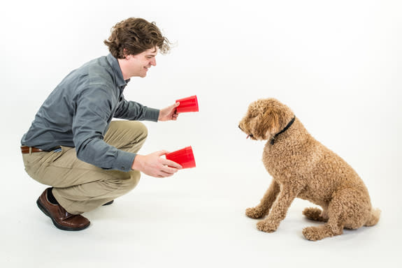 Dognition co-founder Brian Hare begins a dog-cognition testing game with a willing participant.