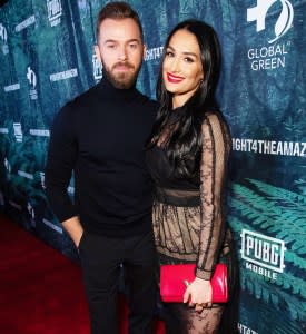 Pregnant Nikki Bella Wishes Bright Light Fiance Artem Chigventsiv Happy Birthday