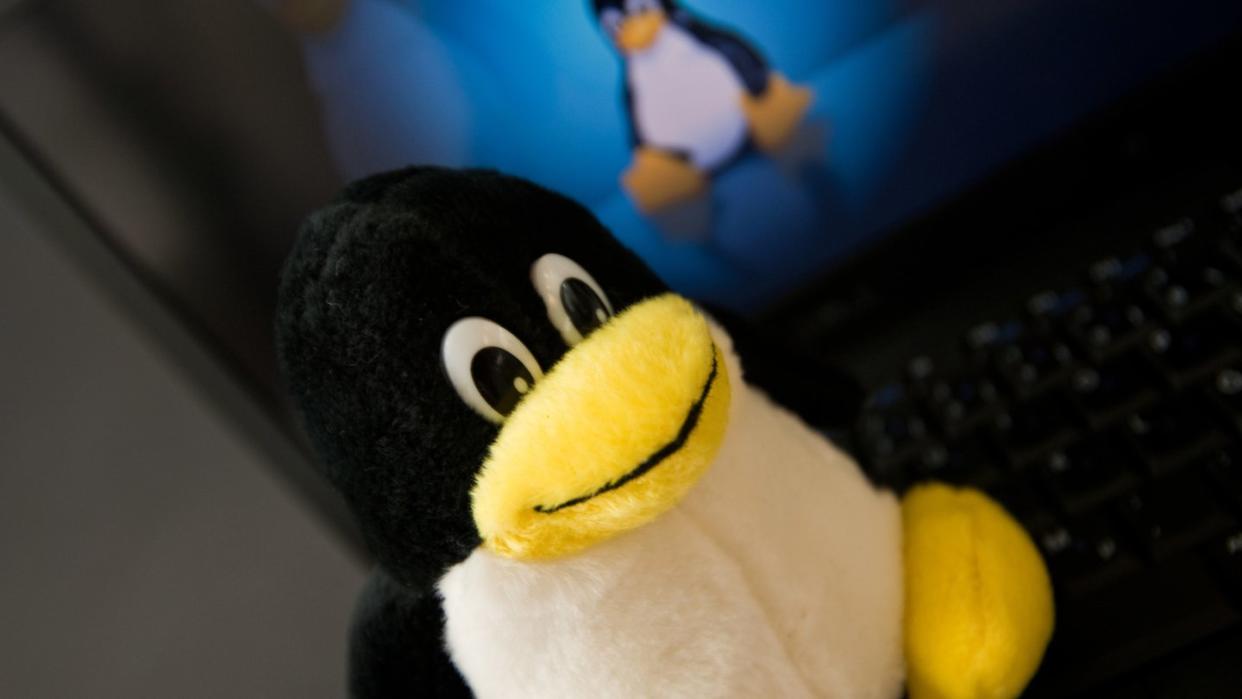 Freundlicher Geselle: Das Linux-Maskottchen ist ein Pinguin. Foto: Andrea Warnecke/dpa-tmn