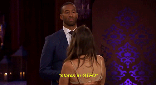 Bachelor GIF