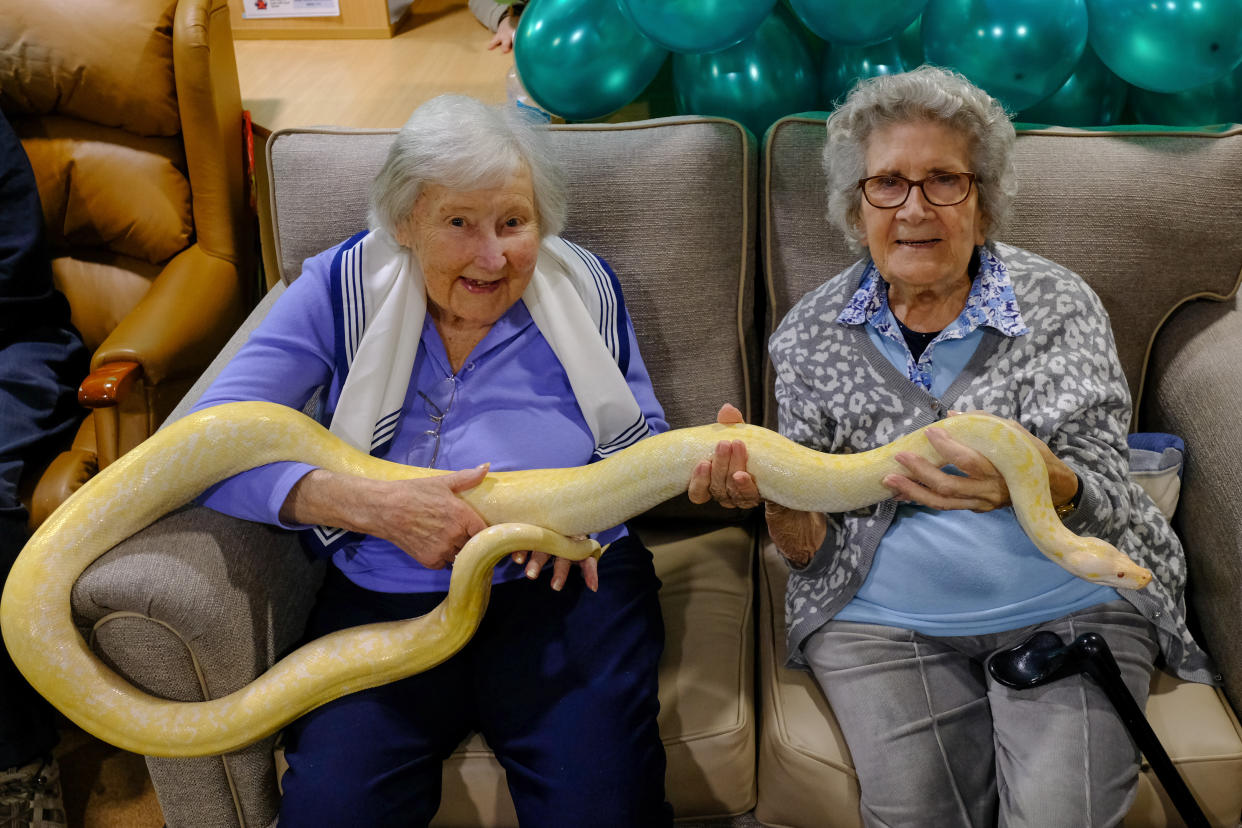 Residents Doreen Barber, 96, and 92-year-old Mary Tierney hold a snake as their care home brough I'm A Celebrity... to life for them. (Care UK/ PA)