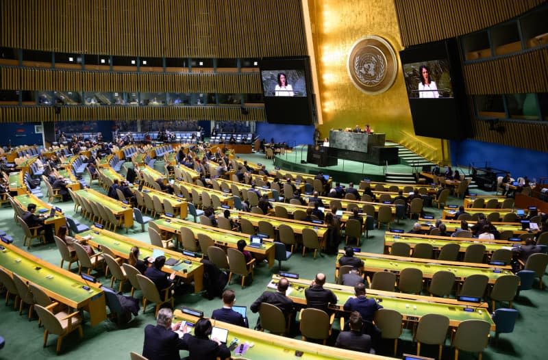 Annalena Baerbock (C), Foreign Minister, speaks at the plenary session of the United Nations General Assembly on "The situation in the temporarily occupied territories of Ukraine". Bernd von Jutrczenka/dpa