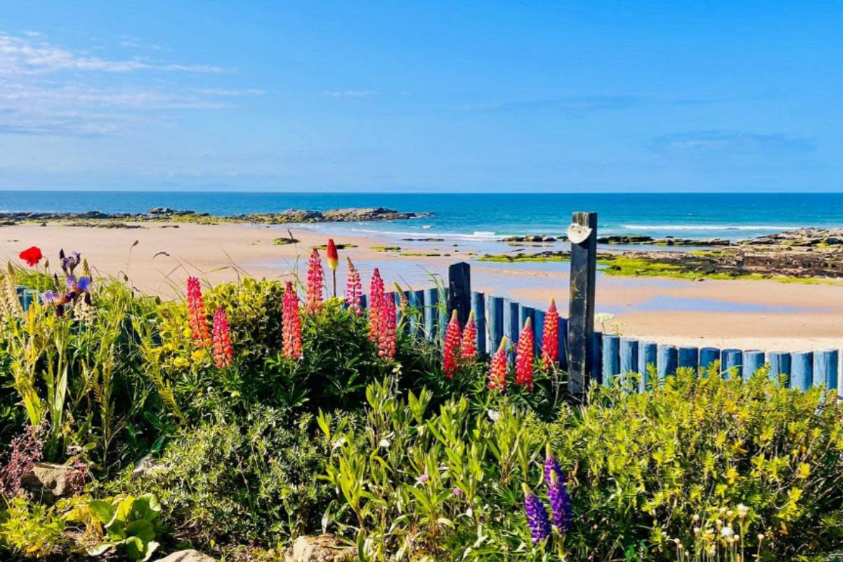 The Fairy Pools and Hopeman East Beach and Bay were named among the best wild swimming spots in Scotland <i>(Image: Tripadvisor)</i>