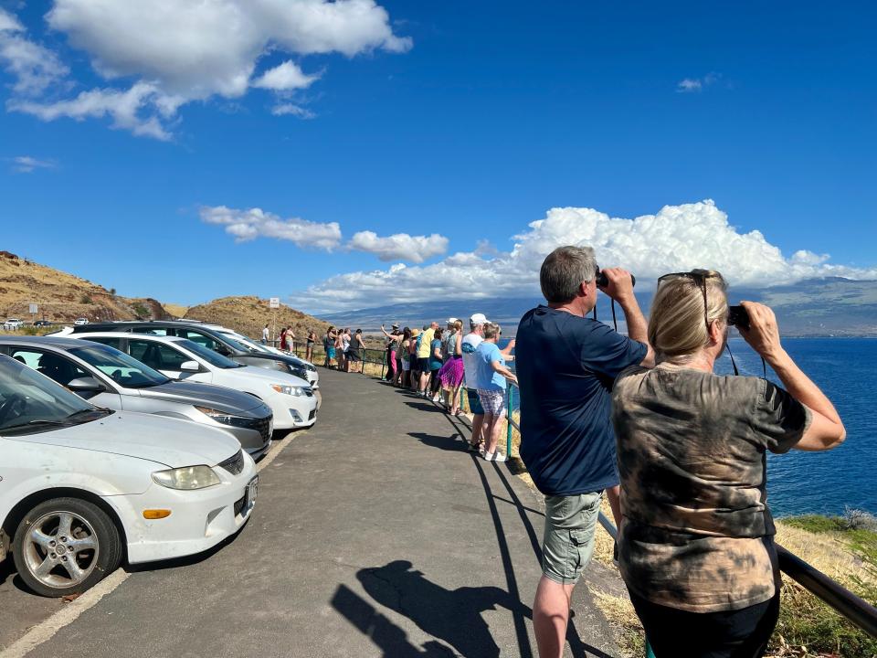 Tourists whale watching at the Papawai Scenic Lookout