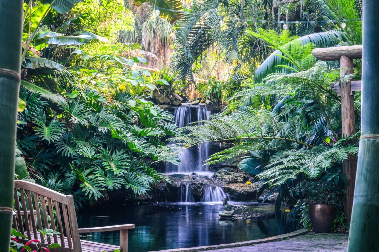 best florida gardens marie selby veranda