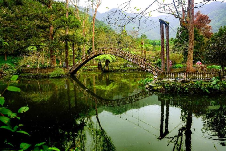 溪頭去年躍居全台入園人數最多的森林遊樂區，周邊已成為準退休族購置休閒渡假宅的首選之地！圖／業者提供