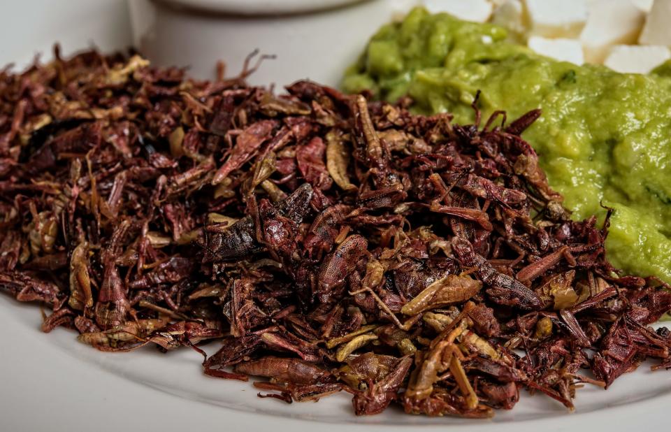 Chapulines. Foto: Getty Images