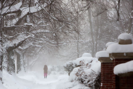 A woman walks in the snow during a winter storm in Buffalo, New York, U.S., January 31, 2019. REUTERS/Lindsay DeDario