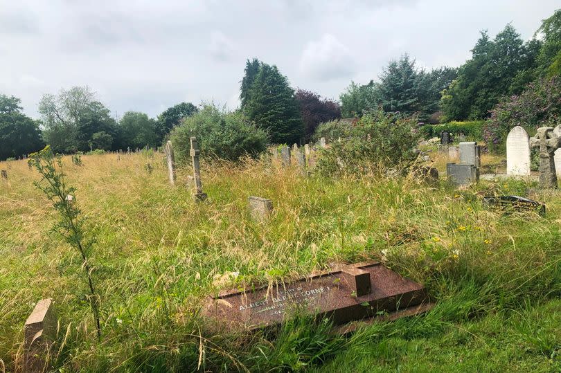 The grass is overgrown around the graves