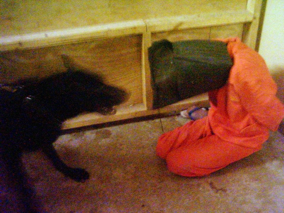 A blurry image of a dog inches away from an Abu Ghraib detainee who is on his knees wearing an orange prison uniform and a hood with his hands behind his back.